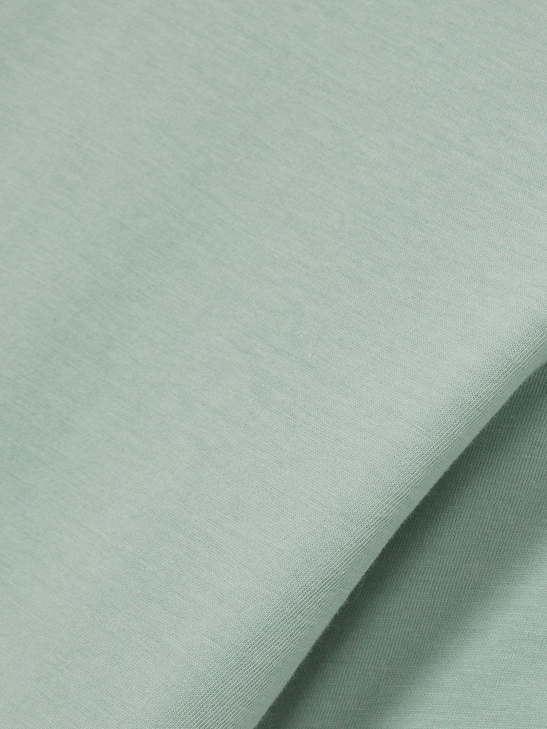 Cotton Crew Neck T-Shirt in Mint Green | Reiss Men Recommended