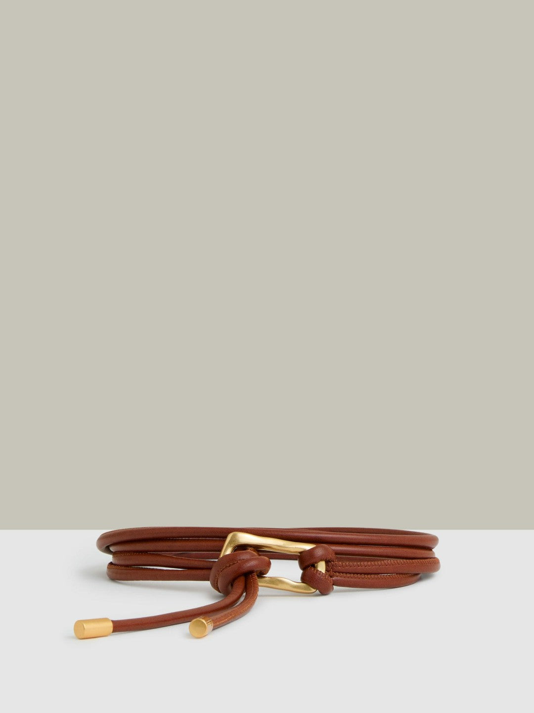 Sculpted Buckle Tubular Tie Belt in Tan | Reiss Women Featured