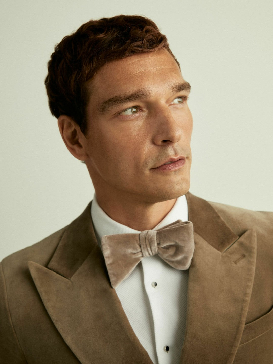 Velvet Bow Tie in Taupe Brown | Reiss Men Signature