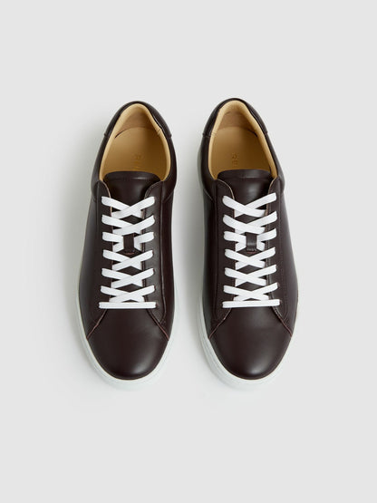 Leather Low-Top Trainers in Plum Purple | Reiss Men Premium