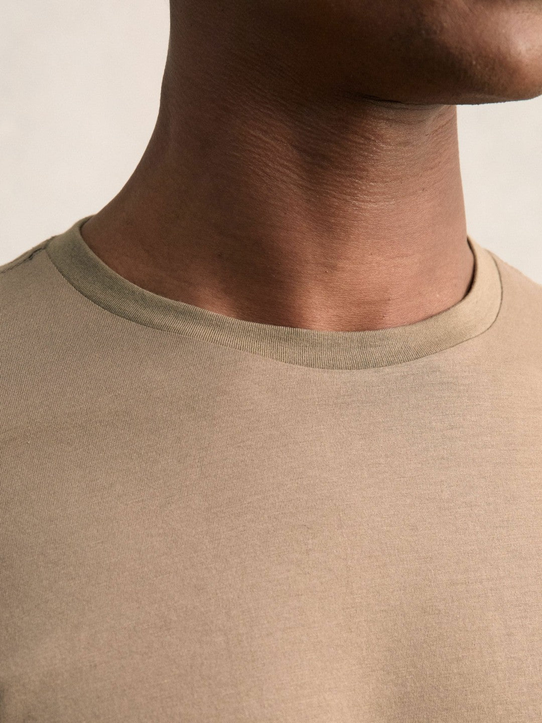 Cotton Crew Neck T-Shirt in Light Taupe Brown | Reiss Men Signature